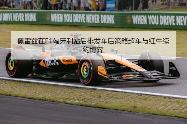 pei-lei-zi-zai-xiong-ya-li-zhan-hou-pai-fa-che-hou-ce-lve-chao-che-yu-hong-niu-xu-yue-bo-yi-2-532.jpg